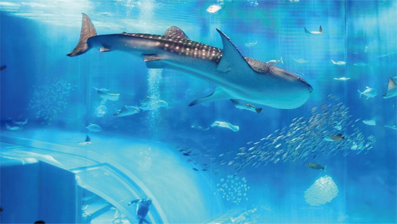 Yukurinaresort Okinawa Ocean Terrace Motobu Εξωτερικό φωτογραφία